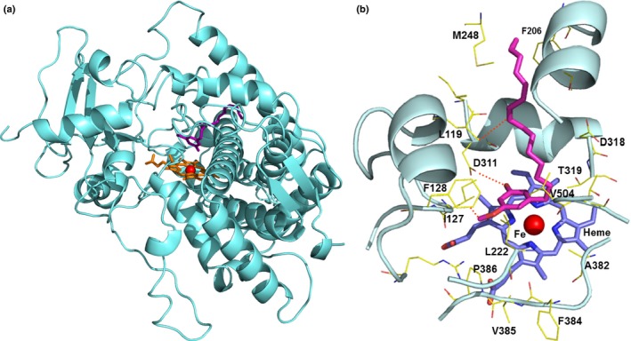 Figure 7