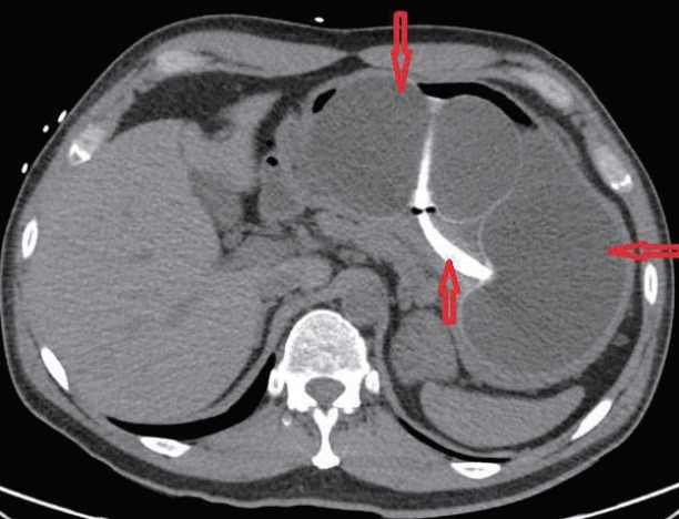 Fig. 1.