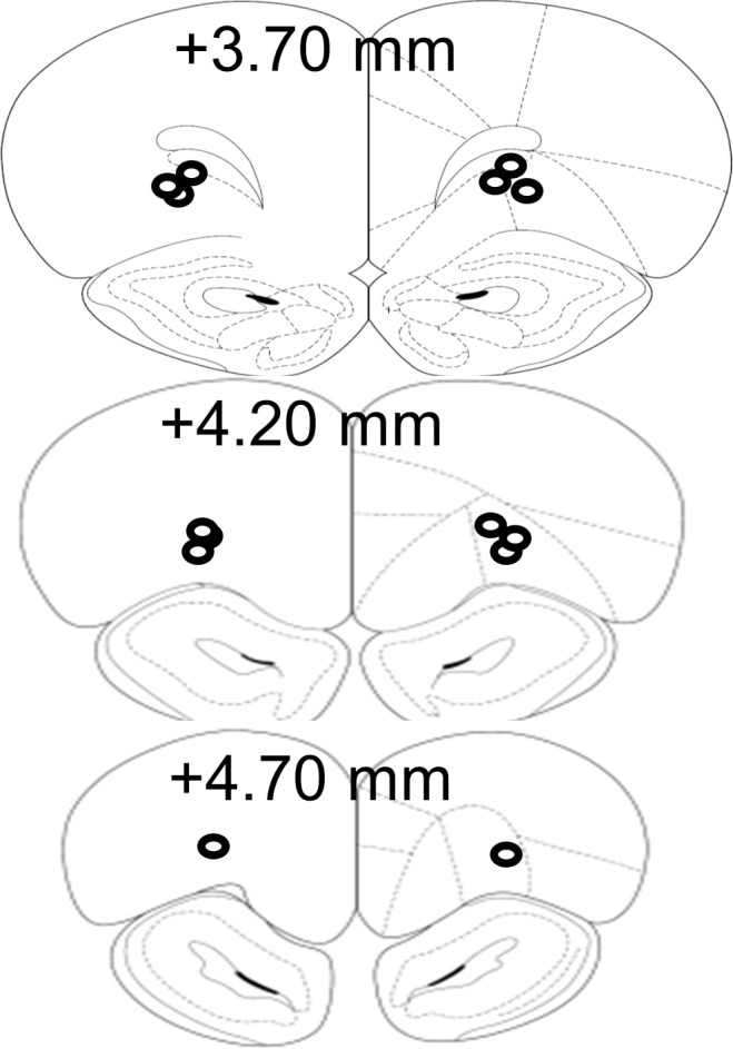 Figure 5—figure supplement 1.