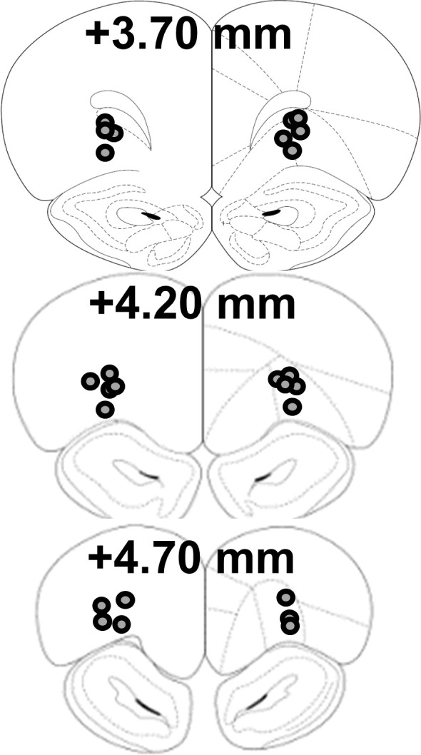 Figure 3—figure supplement 1.