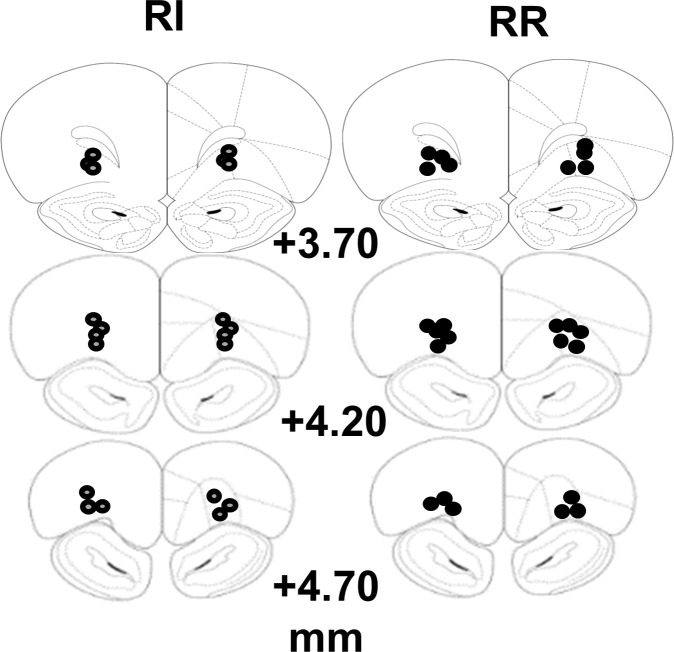 Figure 2—figure supplement 2.