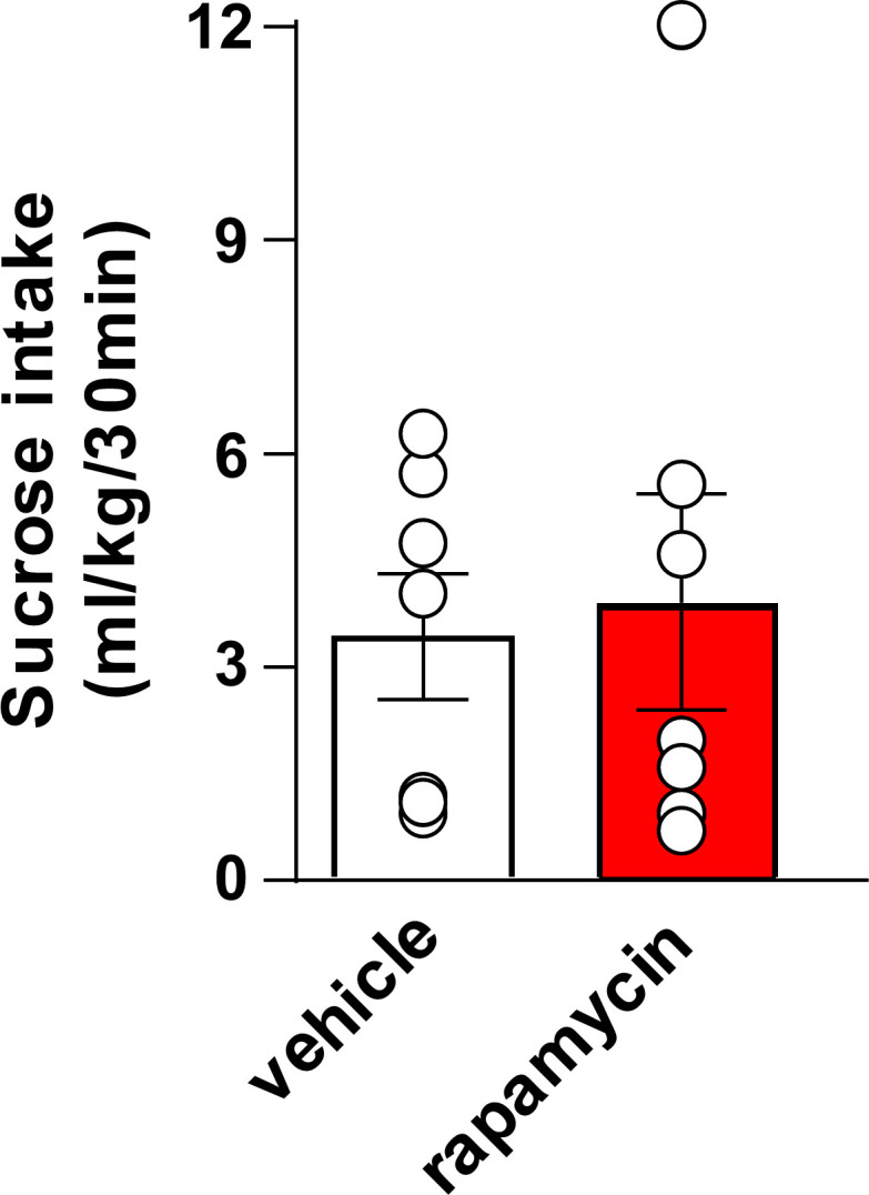 Figure 3—figure supplement 2.