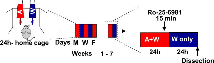 Figure 4—figure supplement 2.