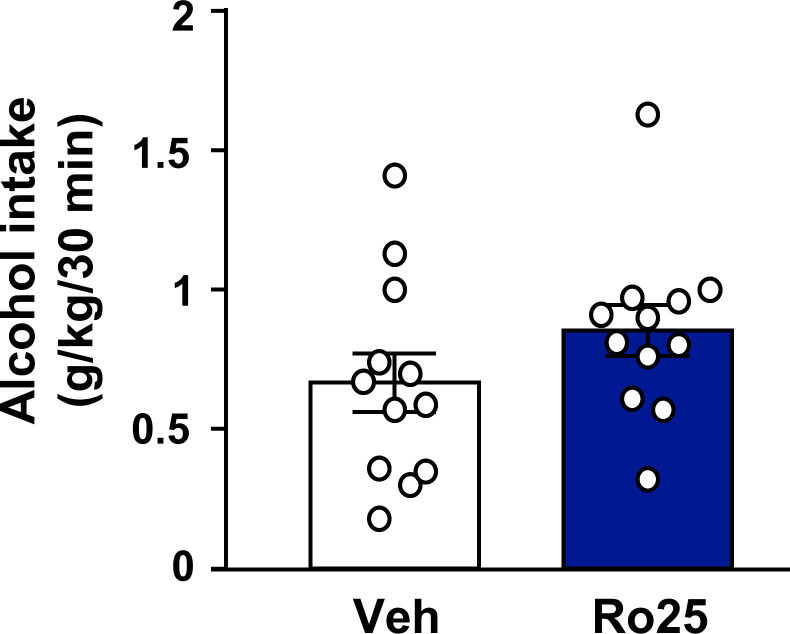 Figure 5—figure supplement 3.