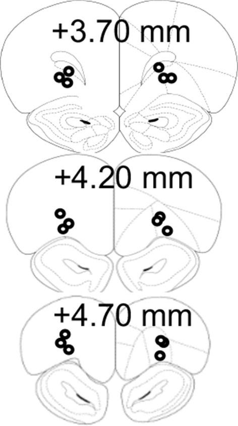 Figure 1—figure supplement 1.