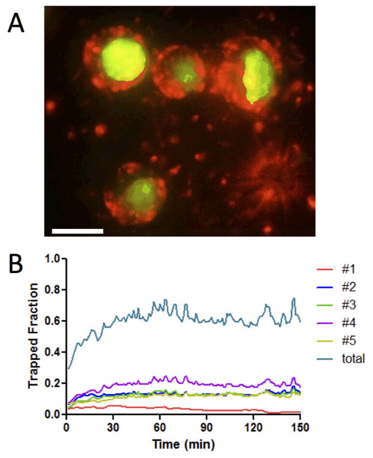 Fig. 8