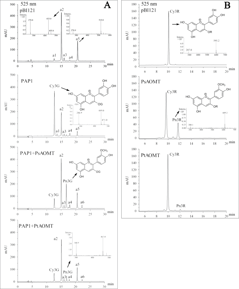 Fig. 6.