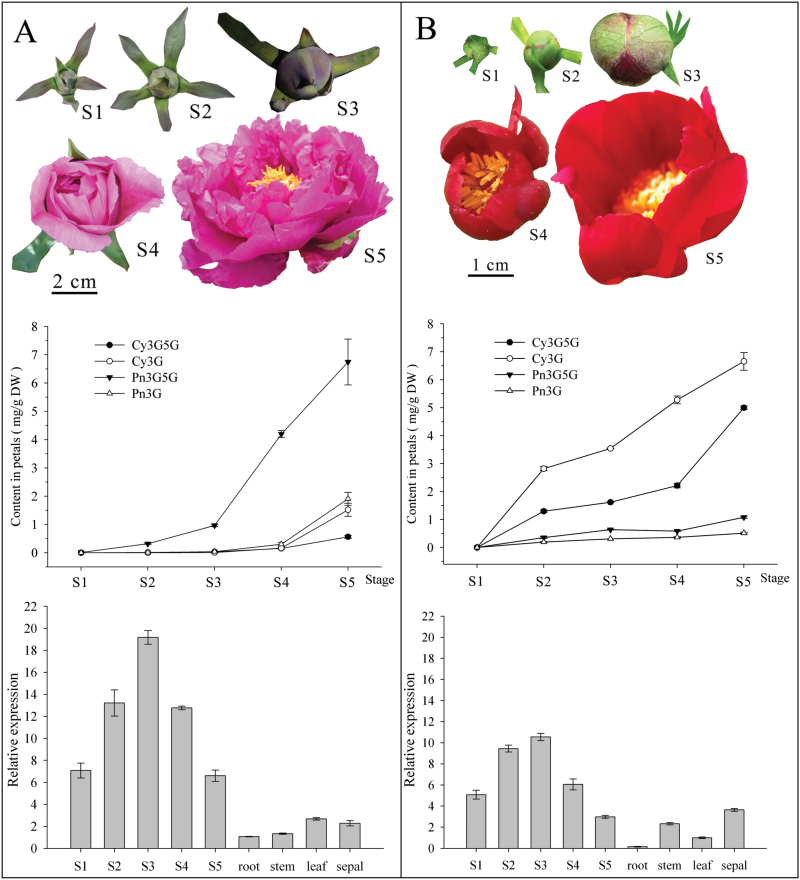 Fig. 2.