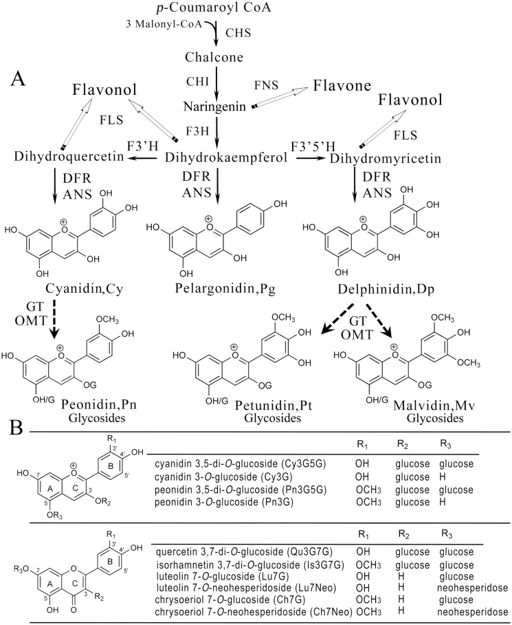 Fig. 1.