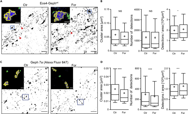 Figure 5