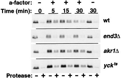 FIG. 6