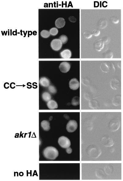 FIG. 7