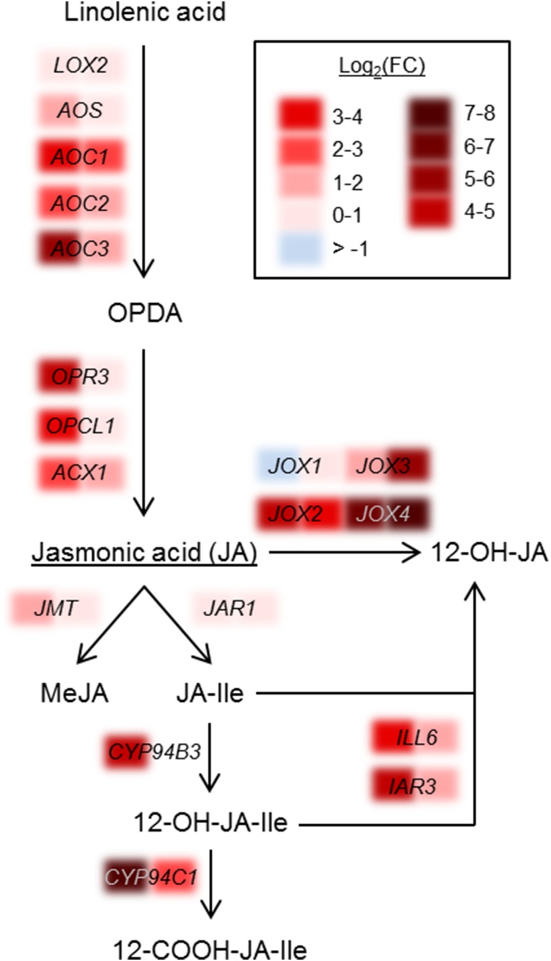 Figure 5.