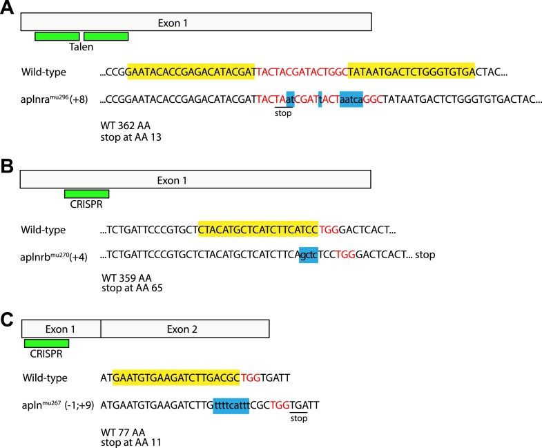 Figure 2—figure supplement 2.