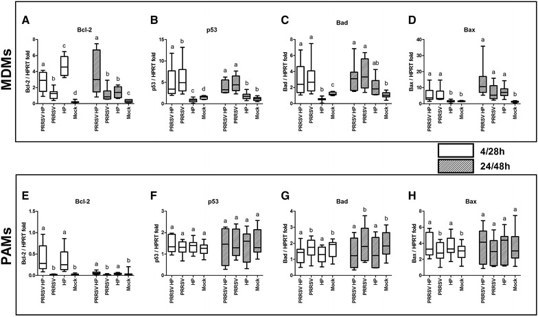 Figure 5