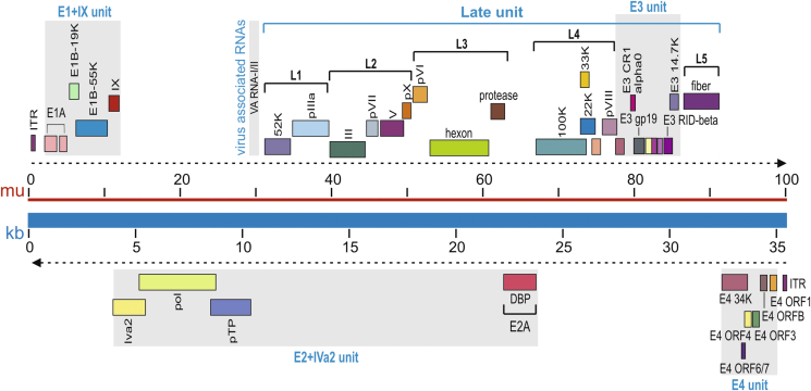 Figure 1