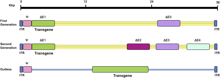 Figure 3