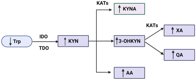 Fig. 2