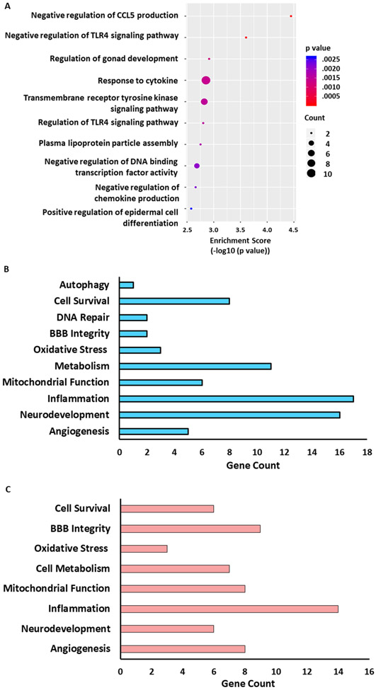 Fig. 6: