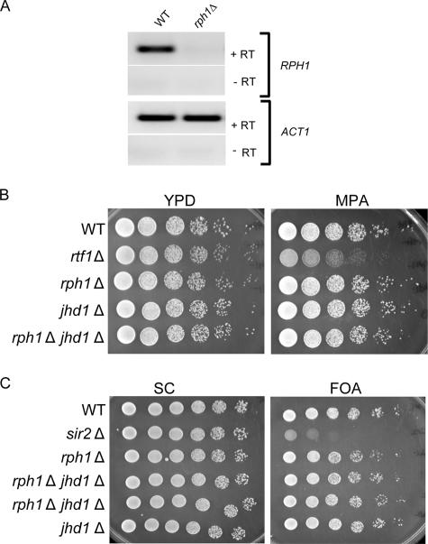 FIG. 3.