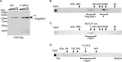 FIG. 5.