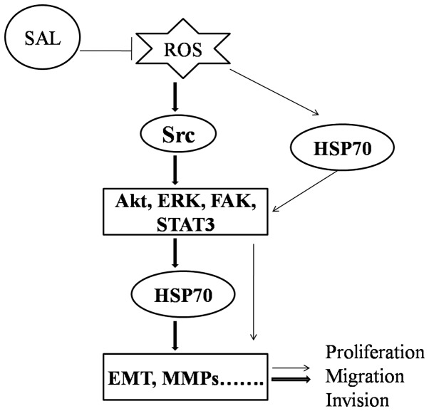 Figure 7.