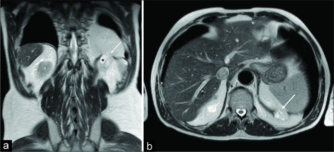 Figure 3: