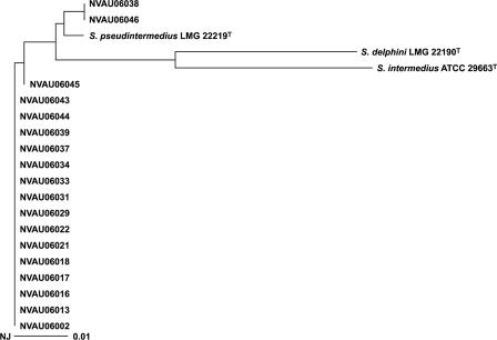 FIG. 2.