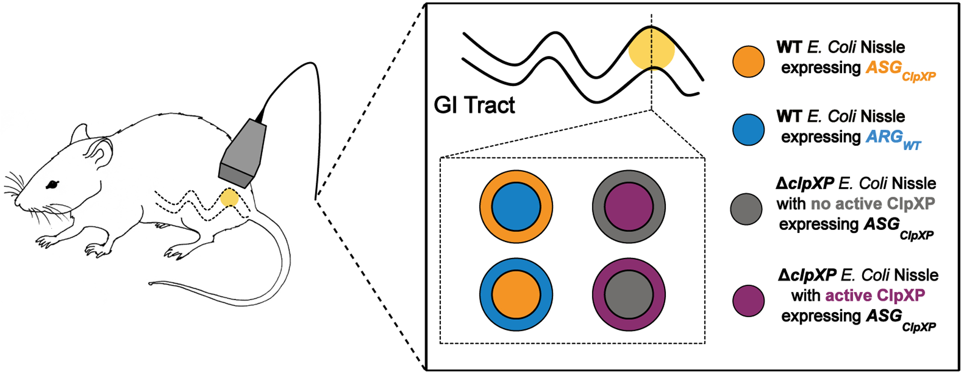 Extended Data Fig. 6