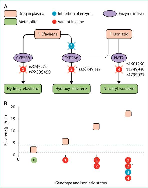 Figure 2: