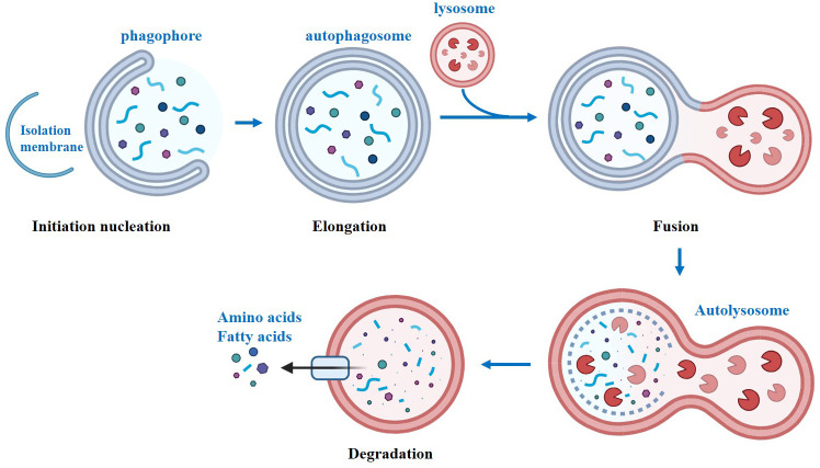 Figure 1