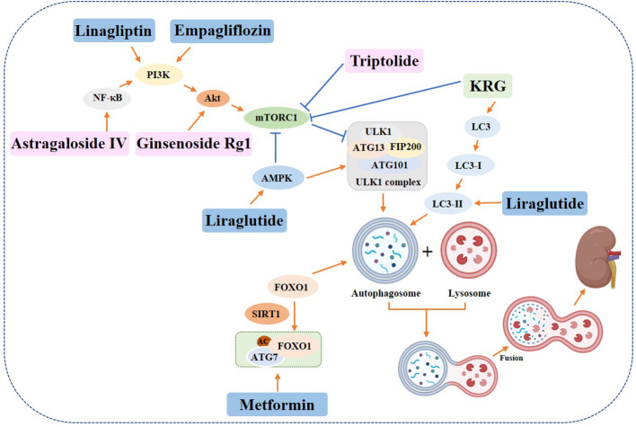 Figure 7