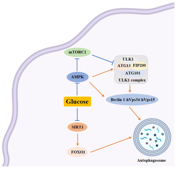 Figure 3