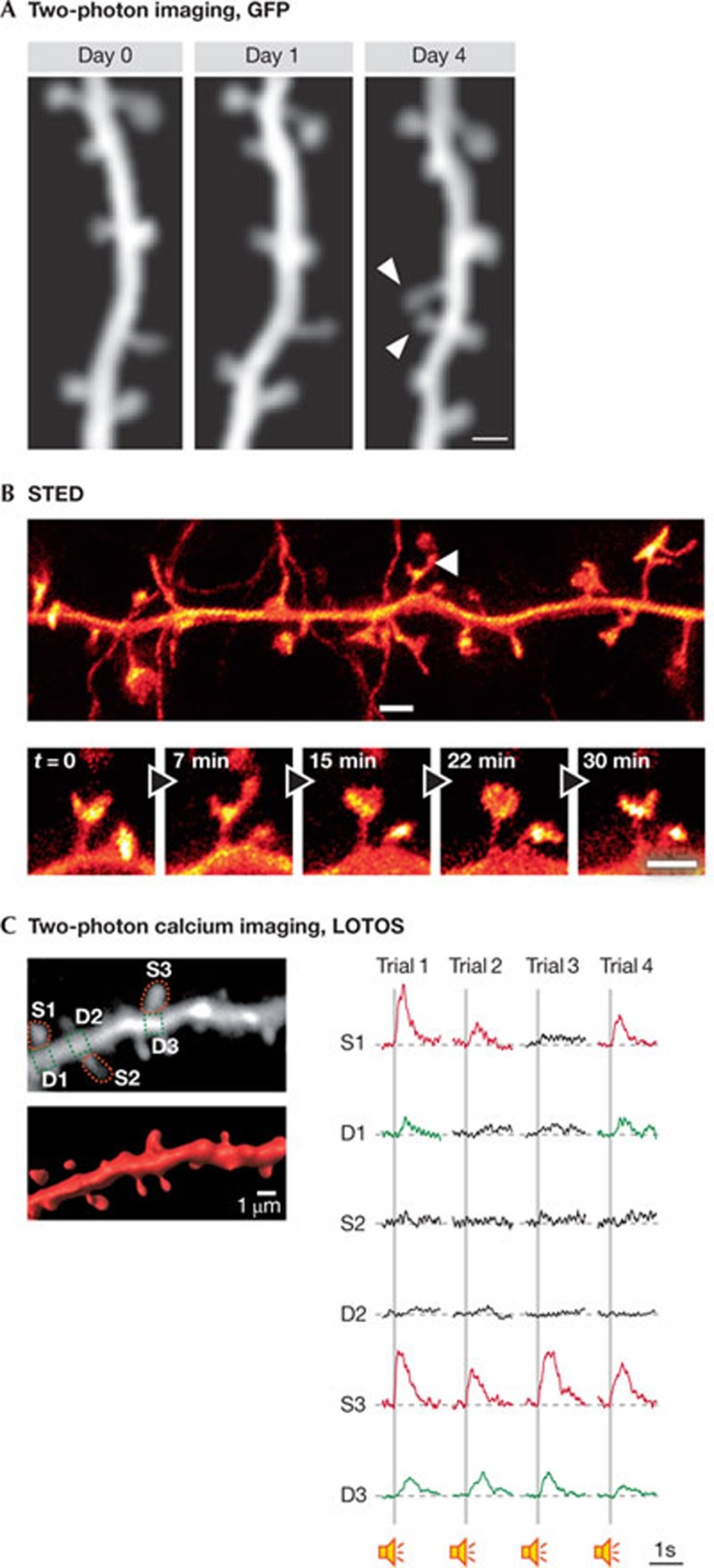 Figure 2