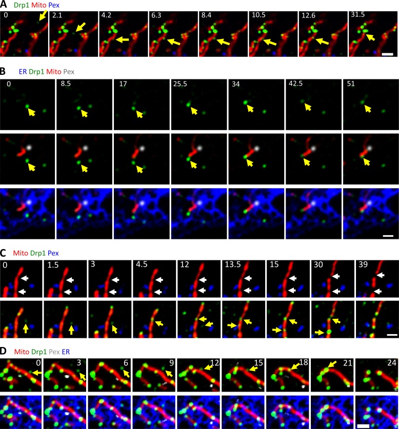 Figure 2.