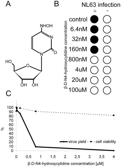 FIG. 6.