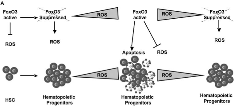 FIG. 8.