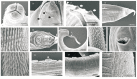 Figure 15-27