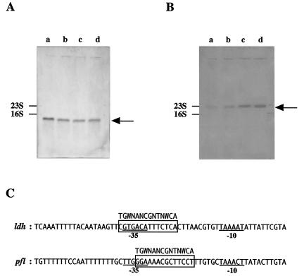 FIG. 5.