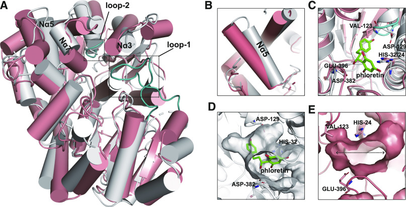 Figure 7.