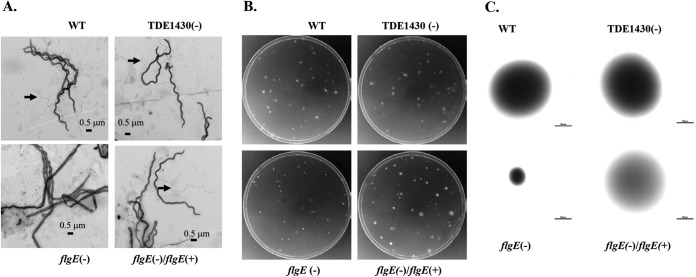 FIG 6