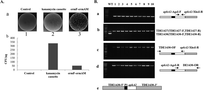 FIG 2