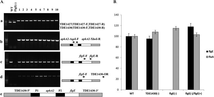 FIG 4