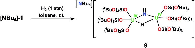 Scheme 6