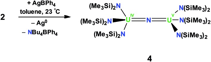 Scheme 2