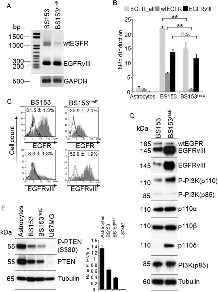 Fig. 4.