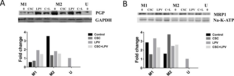 Fig. (5)