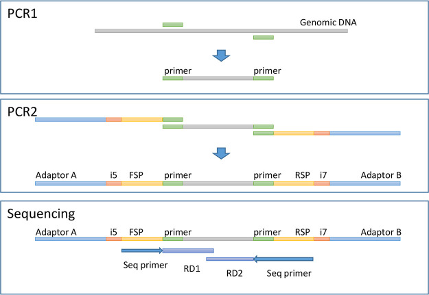 FIG 1