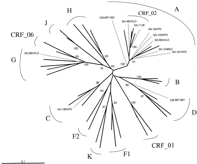 FIG. 6.