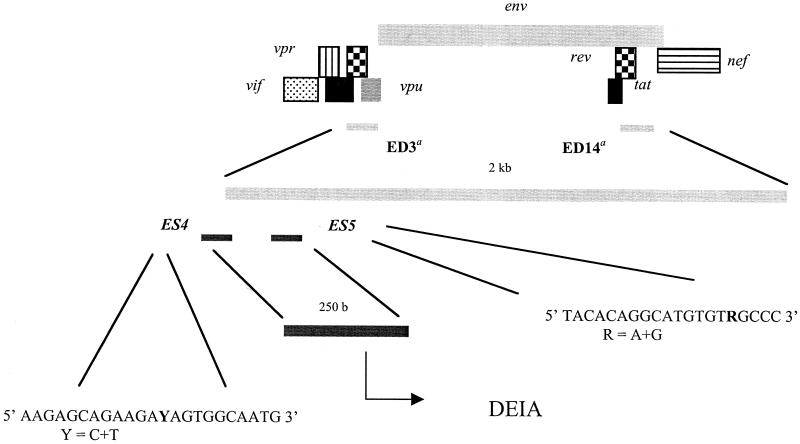 FIG. 1.